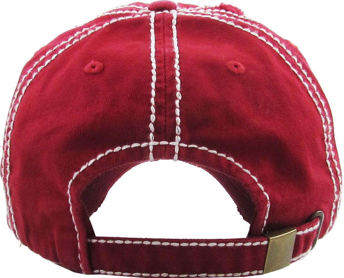 Nasa Insignia Vintage Cap